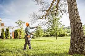 Reliable Sunnyvale, CA Tree Removal and Landscaping Services Solutions